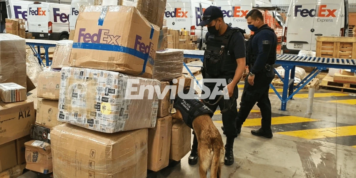 Revisiones en FedEx Morelia